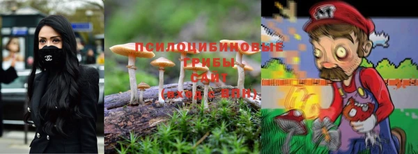 СК Балахна